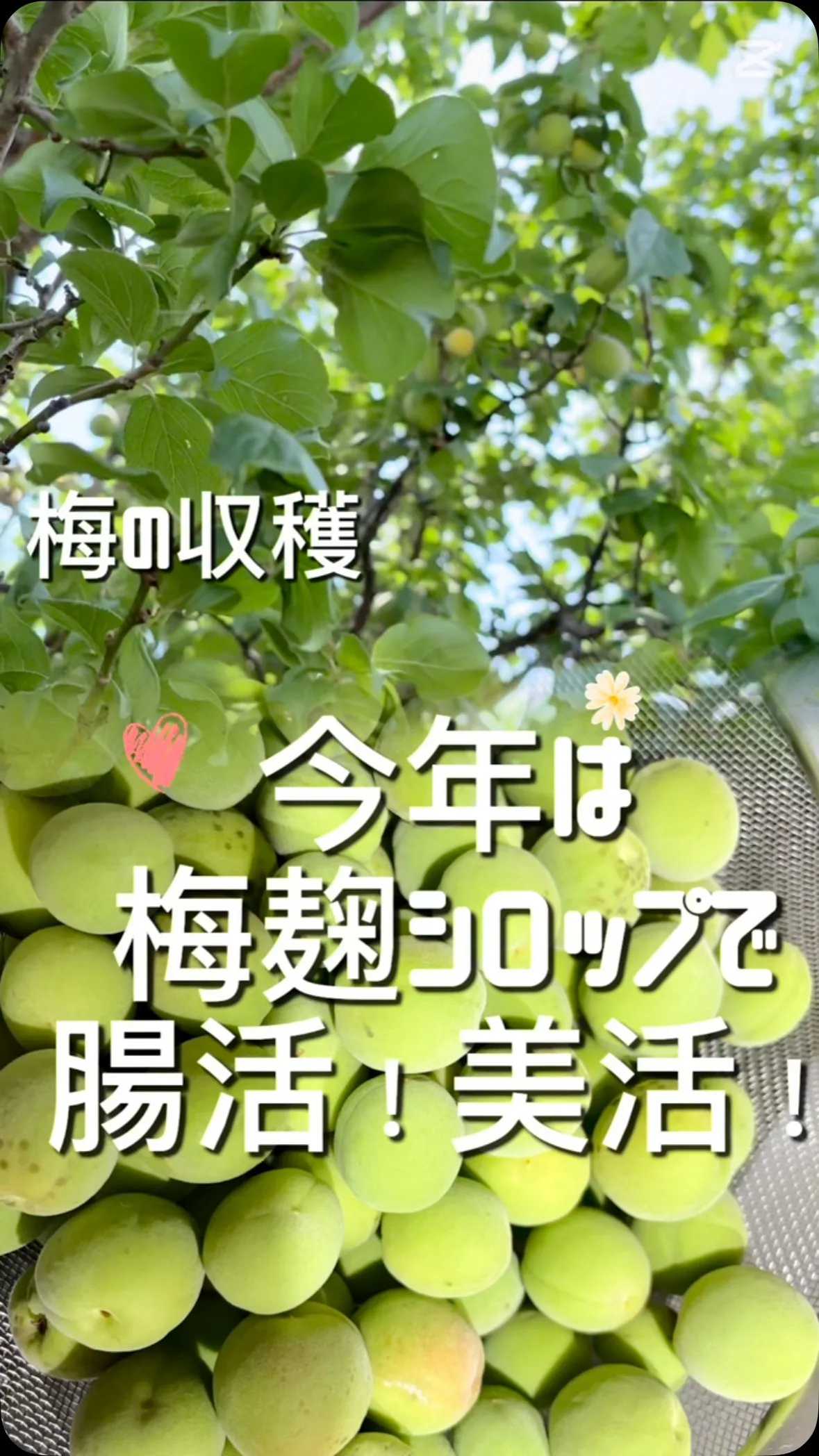 奈良県桜井市の健康美サロン　アメシストです。